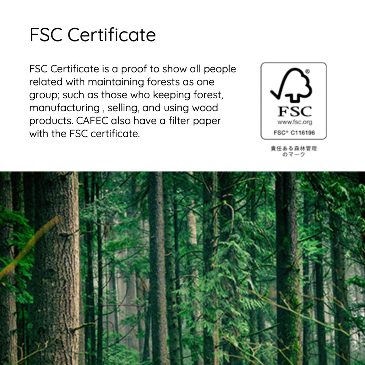 CAFEC Abaca 1 Cup Cone Paper Filter AC1-100B (Brown) Pour Over Equipment CAFEC