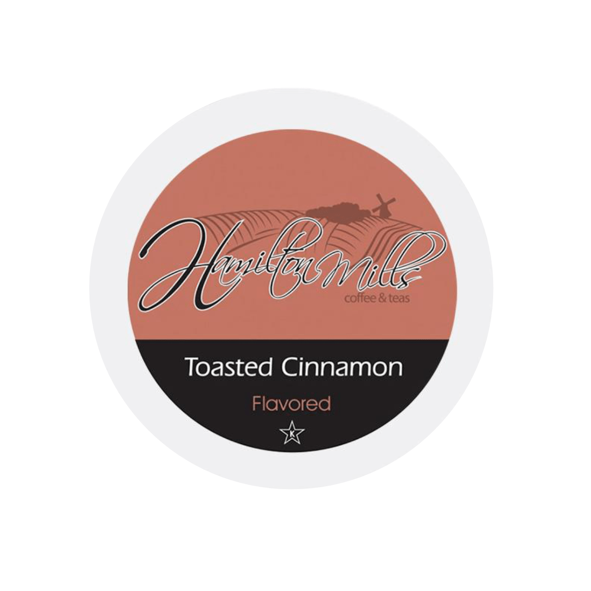 Hamilton Mills Toasted Cinnamon Single-Serve Coffee Pods (Box of 40) K-Cups Hamilton Mills