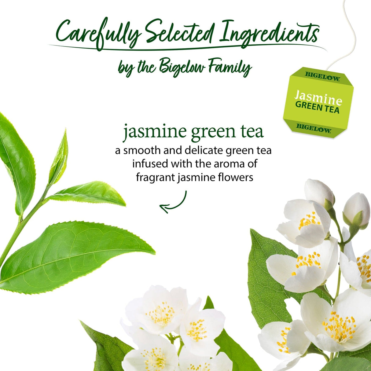 Bigelow Jasmine Green Tea Bags Tea Bags Bigelow