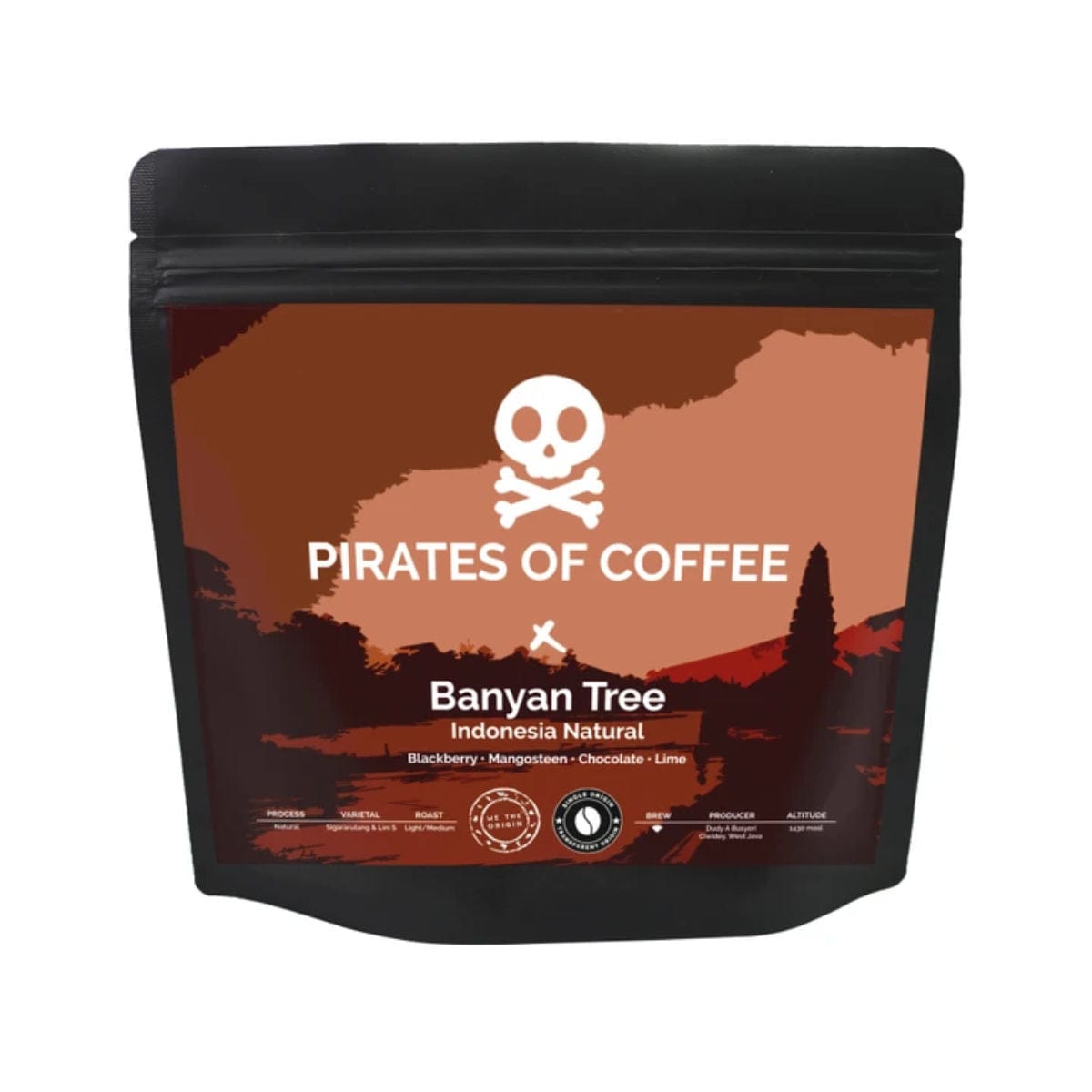 Pirates of Coffee Banyan Tree: Indonesia West Java Natural Filter Coffee Whole Bean Coffee Pirates Of Coffee