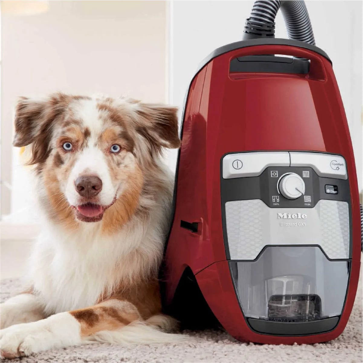 Miele Blizzard CX1 Cat & Dog Bagless Vacuum Cleaner 41KCE037CDN (Mango Red) Vacuum Cleaners Miele