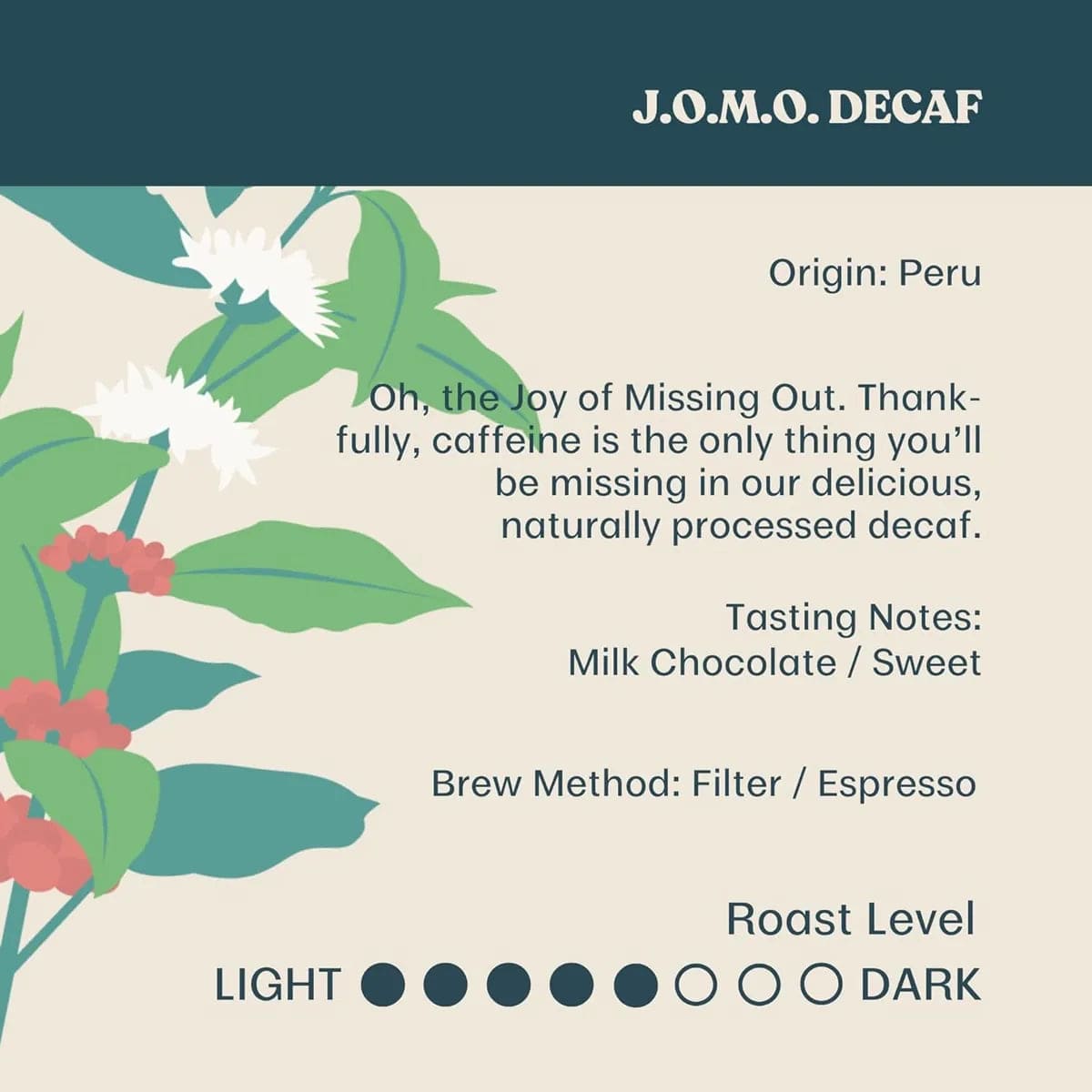 Equator Coffee Roasters J.O.M.O. Coffee Bean (340g / 12oz) Whole Bean Coffee Equator Coffee Roasters