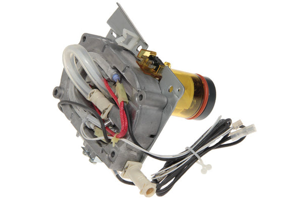 DeLonghi Parts: Generator with Mechanics Valve Assembly: 7313213931