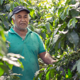 Equator Coffee Roasters J.O.M.O. Coffee Bean (340g / 12oz) Whole Bean Coffee Equator Coffee Roasters