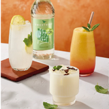 Sweetbird Mojito Mint Syrup (1 Litre) Syrups Sweetbird