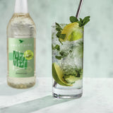 Sweetbird Mojito Mint Syrup (1 Litre) Syrups Sweetbird