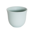 Loveramics 250ml Embossed Tasting Cup (Celadon Blue) Accessory Loveramics
