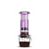 AeroPress Clear Coffee Press (Purple)