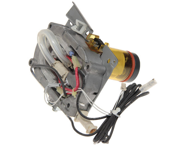 DeLonghi Parts: Generator Assembly with Mechanical Valve 7313213921