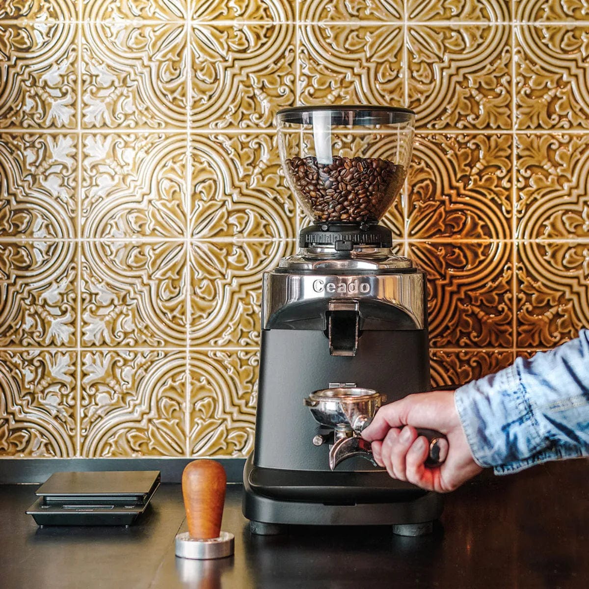 Ceado E37J Electronic Burr Grinder (Silver) - PREORDER Coffee Grinder Ceado