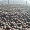 Pirates of Coffee Yemen Al Sanaa Anaerobic Natural Whole Bean Filter Coffee