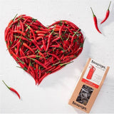 TeaPigs Chilli Chai Loose Leaf Tea Sachets (Box of 15) Loose Leaf Sachets TeaPigs