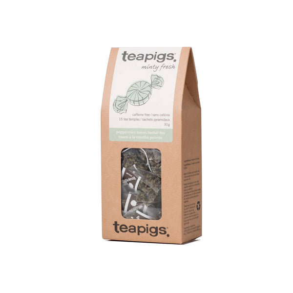 TeaPigs Peppermint Leaves Loose Leaf Tea Sachets (Box of 50)